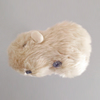 pps-002 image04